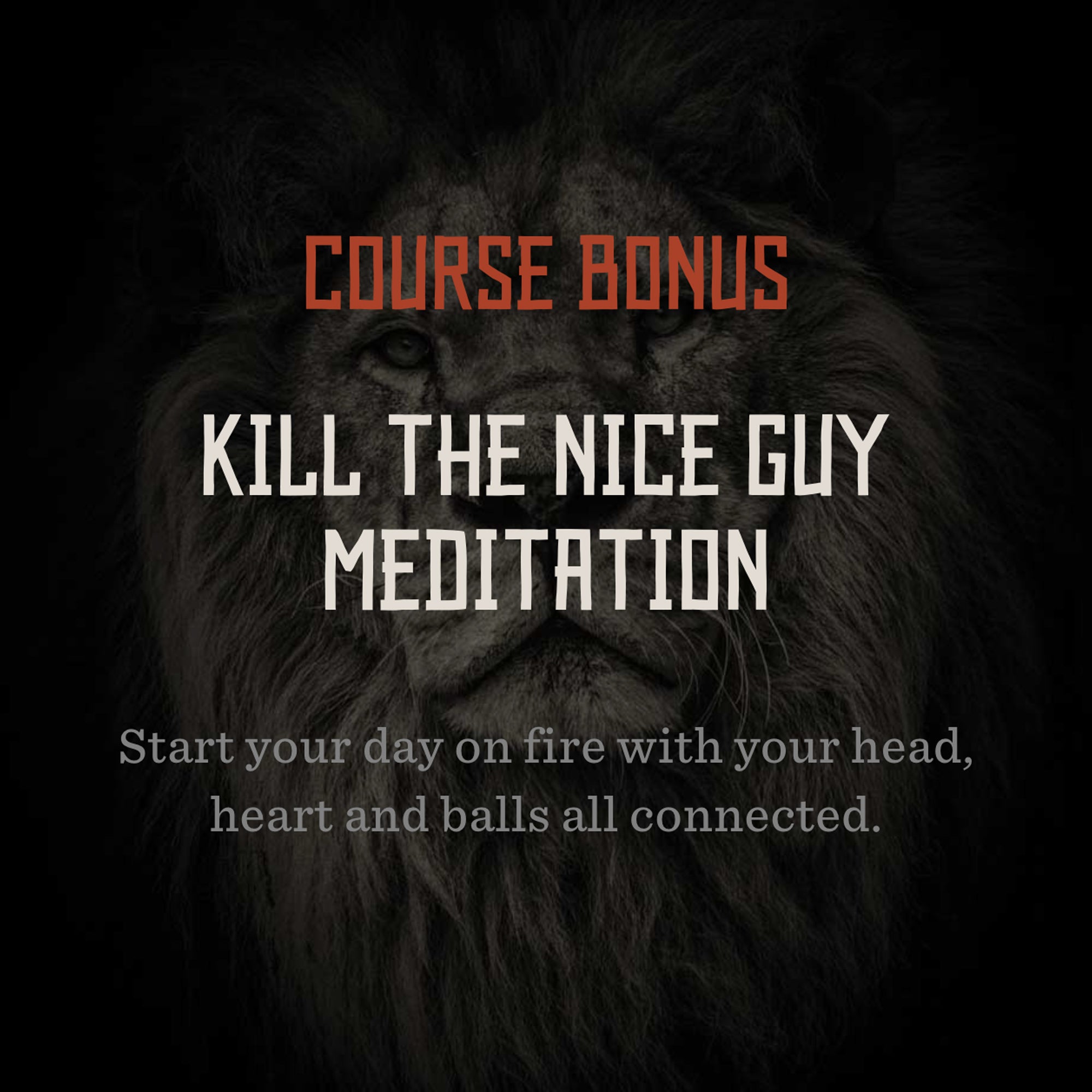 The Kill The Nice Guy Men's Self-Leadership Course